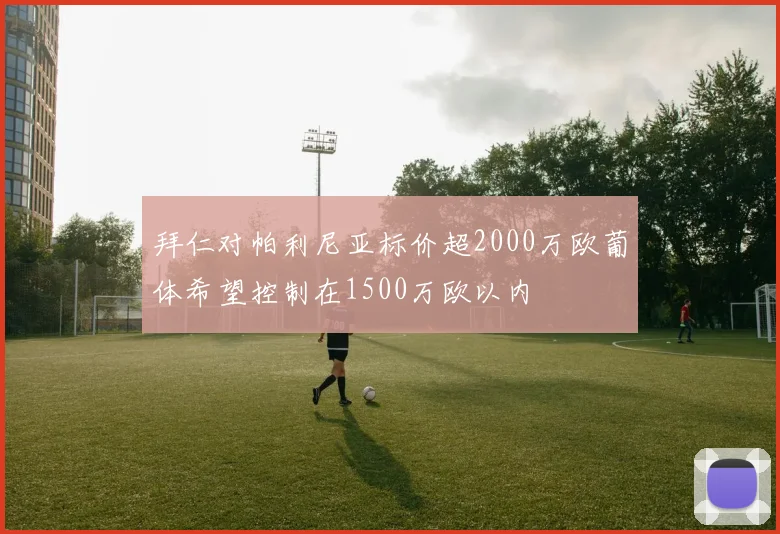 拜仁对帕利尼亚标价超2000万欧葡体希望控制在1500万欧以内