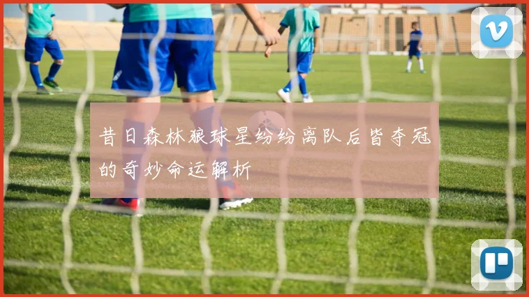 昔日森林狼球星纷纷离队后皆夺冠的奇妙命运解析